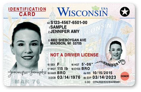 Your State ID Card Guide 